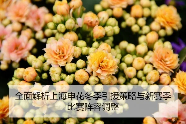 全面解析上海申花冬季引援策略与新赛季比赛阵容调整 | ONE ENTERTAINMENT